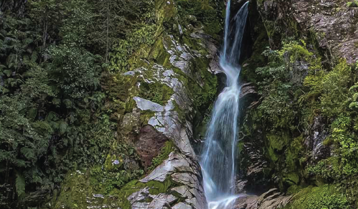 📷 Dorothy Falls, West Coast. Credit: Stephen Brown
