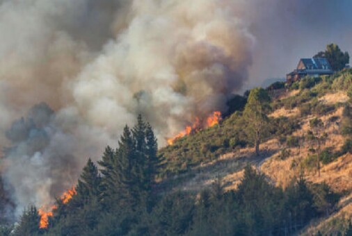 Fire Ecology: Science, Risk, and Resilience