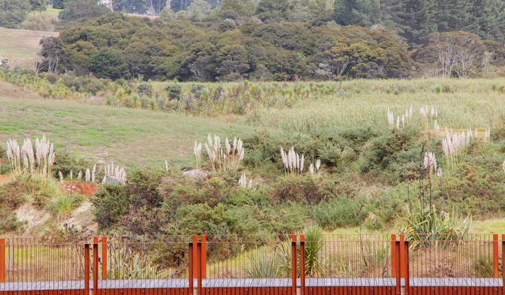 New walking and cycling connections are provided across the wider site by the new network of paths and bridges. In particular access is enabled between the site and Long Bay regional Park. Integration of this pathway has been curated to take people across the corridor, wetland and alongside the existing Vaughan’s Stream corridor. This journey manages significant level changes and provides a sense of journey and transition from the beach to Long Bay Village.