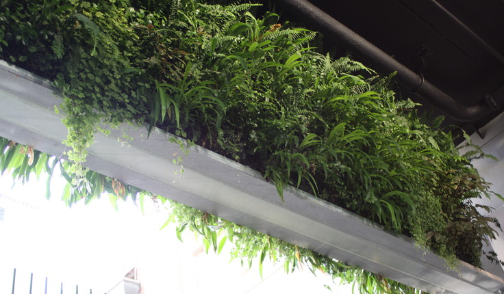 The project has introduced green walls and screens.