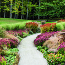 The perennial walk and its summer display of colours.