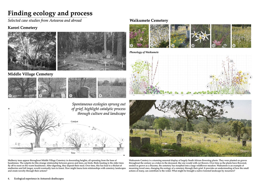 Finding ecology and process