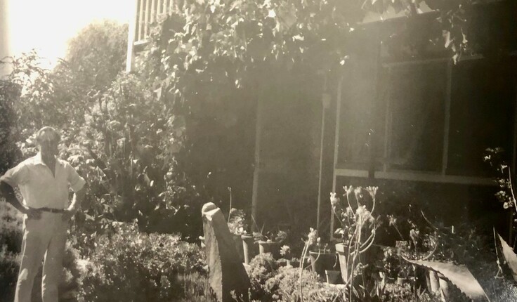 Bill Sutton standing alongside his patio which featured succulents set among rocks as sculptural features, 1970s. Photo courtesy of Christchurch Art Gallery Te Puna o Waiwhetū