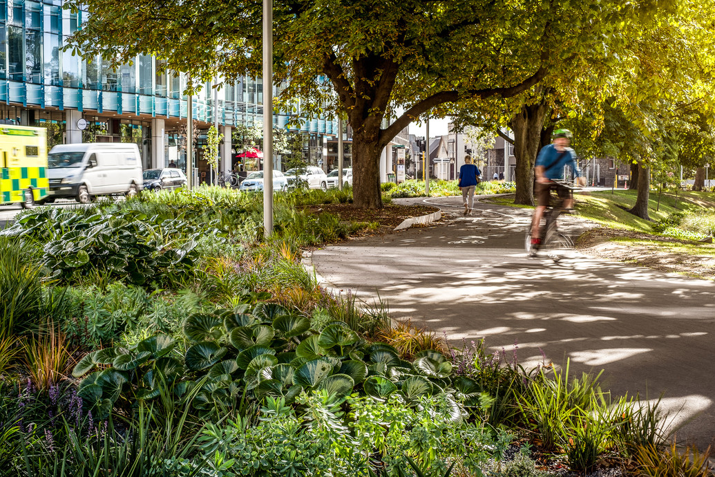 An Accessible City - Phase 1 | New Zealand Institute of Landscape ...