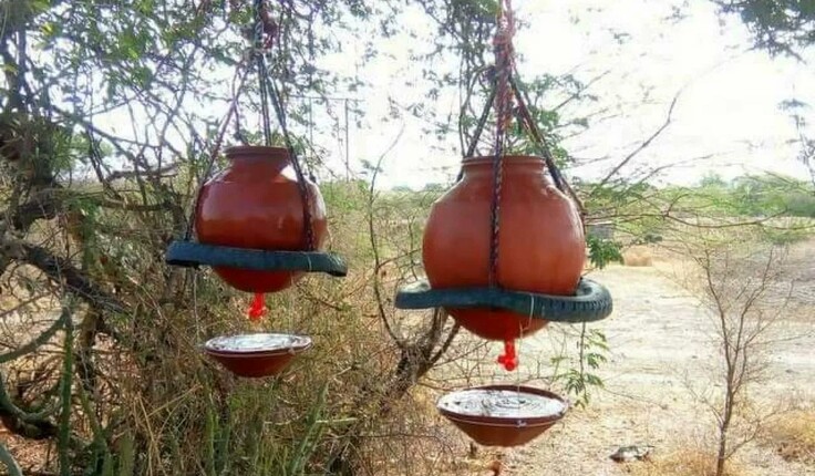Design as an Enabler: waste water collected for birds to have, Rajasthan/Gujarat States, India