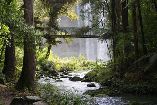 Te Mana o te Wai - shaping our future work by The Sustainability Society