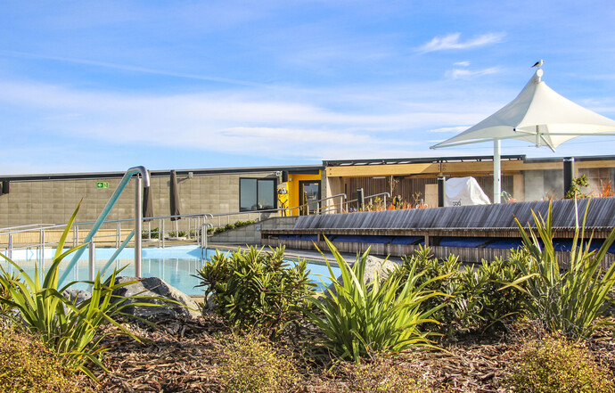 Native planting and the materiality of the poolside.