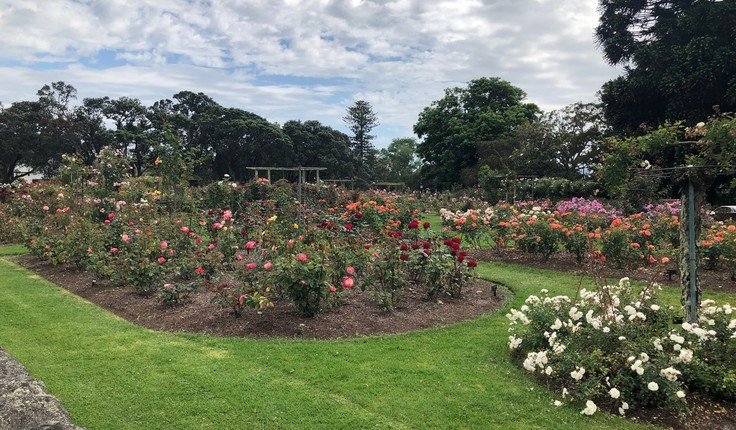 Auckland's Parnell Rose Gardens, the site of the memorial.